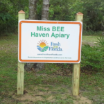 MissBeeHavenApiary.png