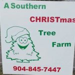 southern CHRISTmas tree.jpg